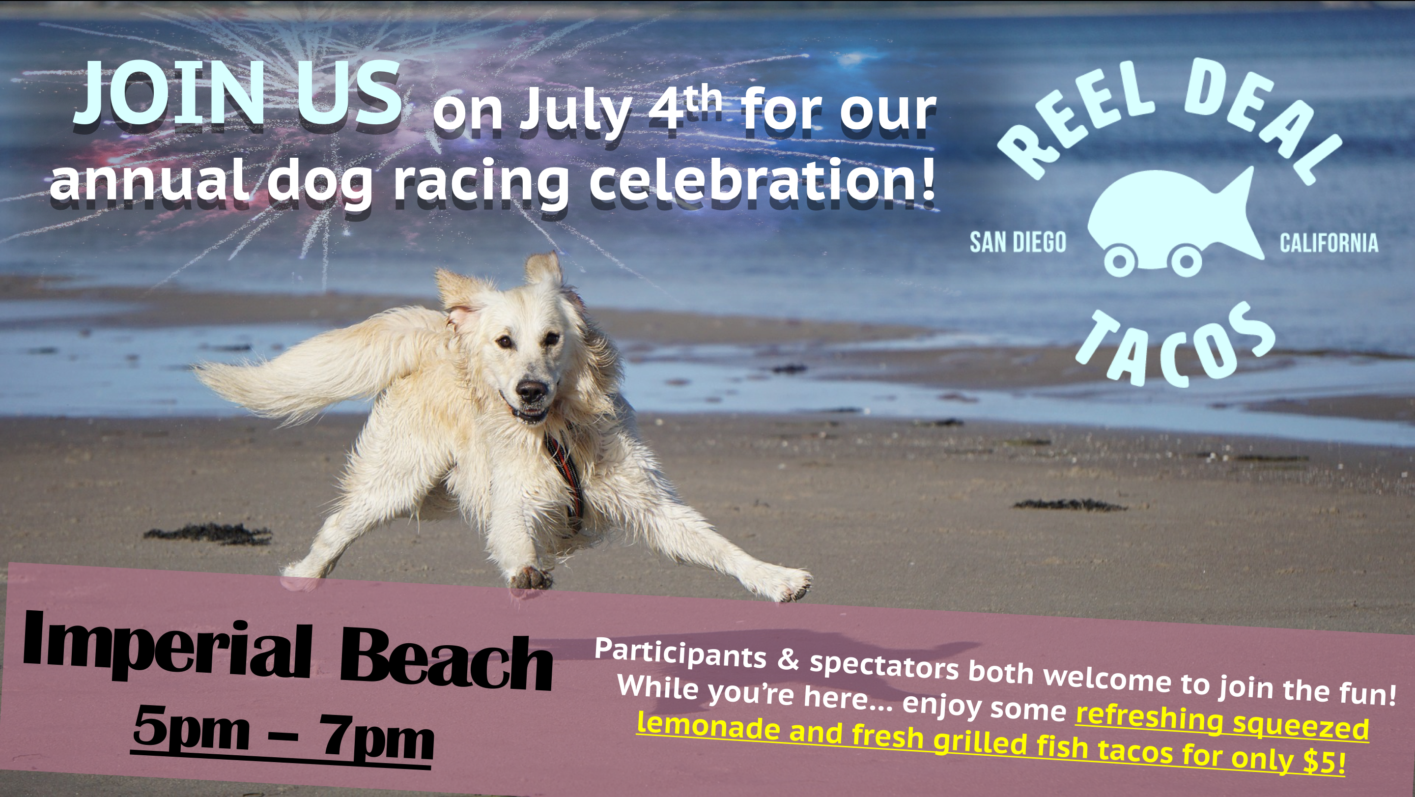 Copy example of event poster where dog is jumping across the beach.